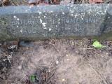 image of grave number 373549